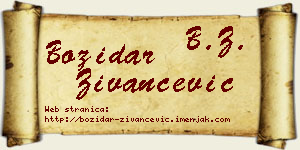 Božidar Živančević vizit kartica